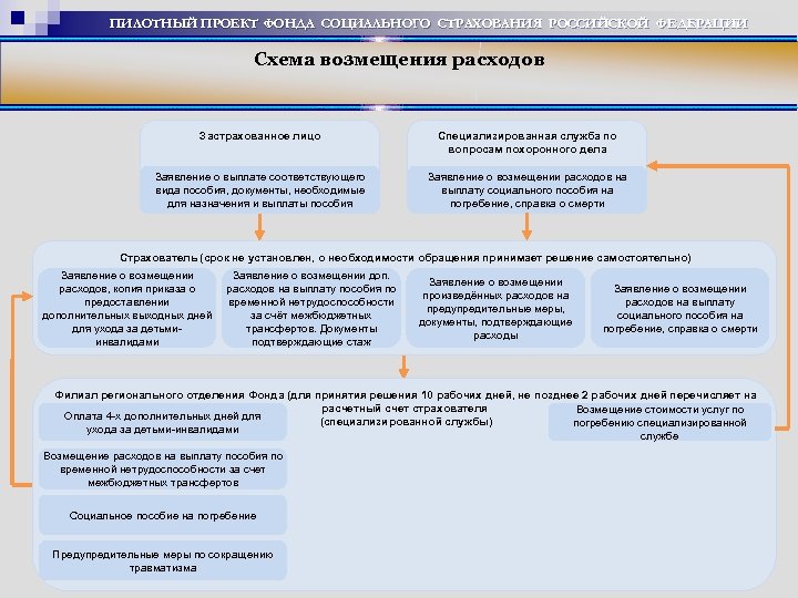 ПИЛОТНЫЙ ПРОЕКТ ФОНДА СОЦИАЛЬНОГО СТРАХОВАНИЯ РОССИЙСКОЙ ФЕДЕРАЦИИ Схема возмещения расходов Застрахованное лицо Специализированная служба