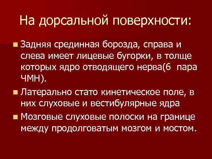 На дорсальной поверхности: n Задняя срединная борозда, справа и слева имеет лицевые бугорки, в