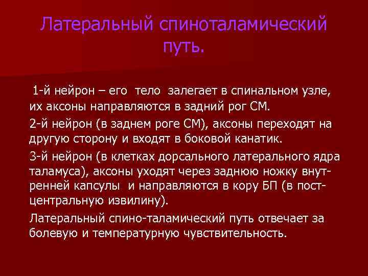 Латеральный спиноталамический путь. 1 й нейрон – его тело залегает в спинальном узле, их