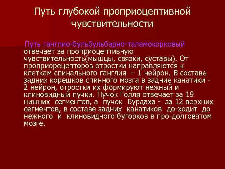 Путь глубокой проприоцептивной чувствительности Путь ганглио бульбарно таламокорковый отвечает за проприоцептивную чувствительность(мышцы, связки, суставы).