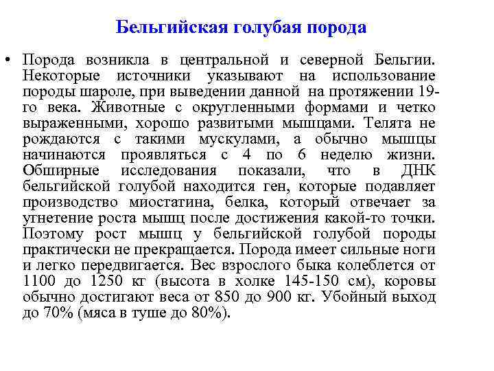 Бельгийская голубая порода • Порода возникла в центральной и северной Бельгии. Некоторые источники указывают