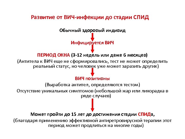 Развитие от ВИЧ-инфекции до стадии СПИД Обычный здоровый индивид Инфицируется ВИЧ ПЕРИОД ОКНА (3