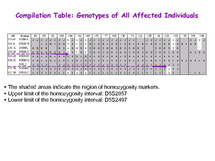Compilation Table: Genotypes of All Affected Individuals § The shaded areas indicate the region