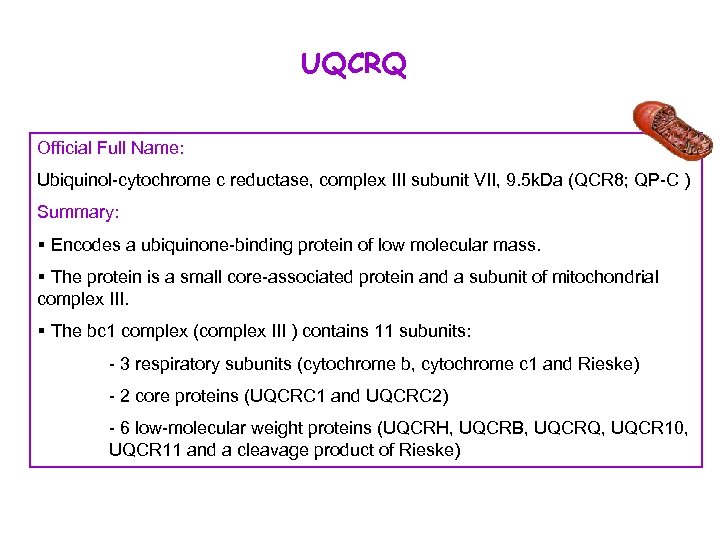 UQCRQ Official Full Name: Ubiquinol-cytochrome c reductase, complex III subunit VII, 9. 5 k.