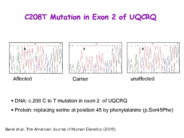 C 208 T Mutation in Exon 2 of UQCRQ Affected Carrier unaffected § DNA: