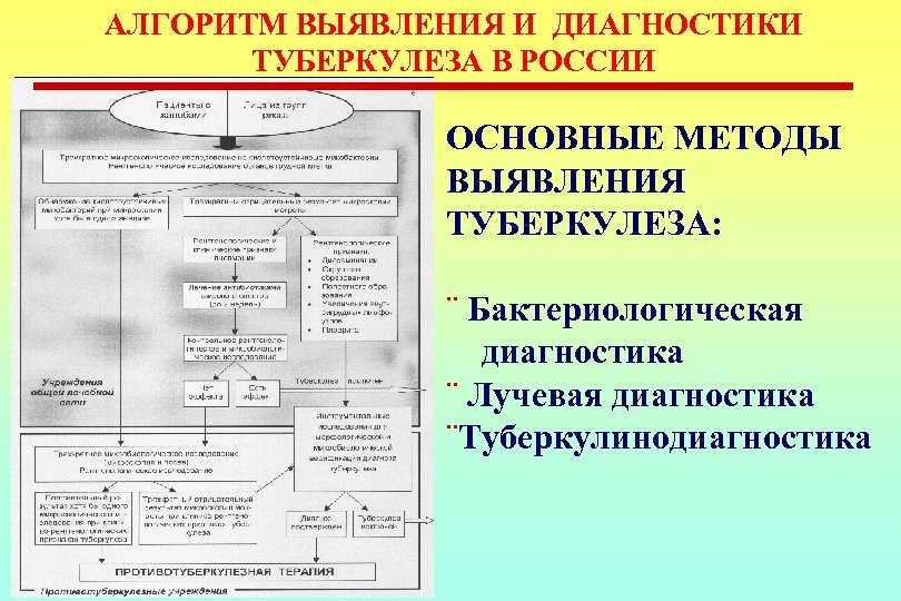 Схема бактериологической диагностики туберкулеза