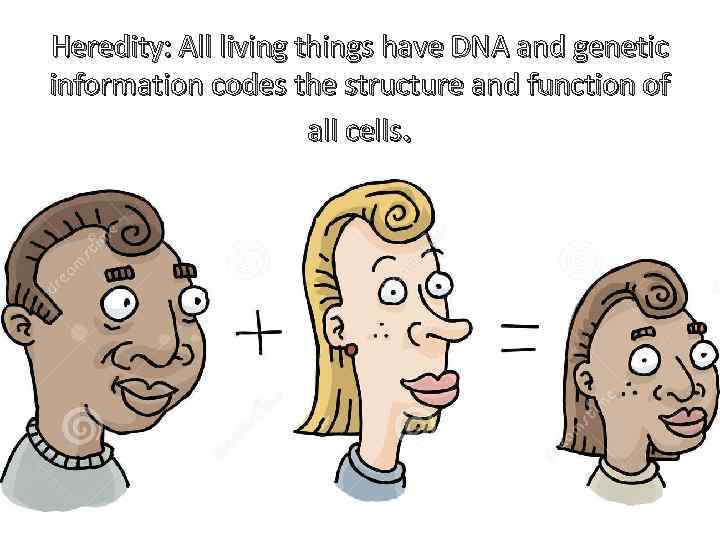 Heredity: All living things have DNA and genetic information codes the structure and function