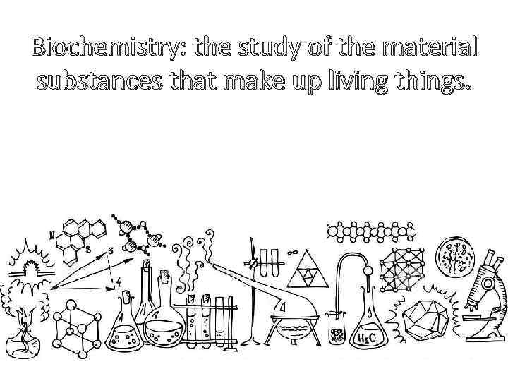 Biochemistry: the study of the material substances that make up living things. 