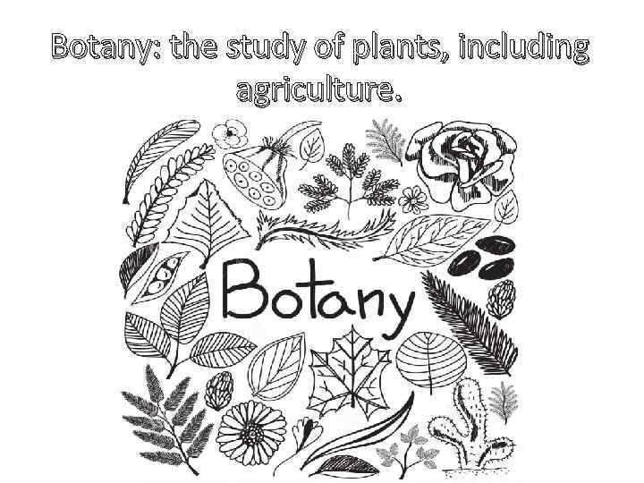 Botany: the study of plants, including agriculture. 