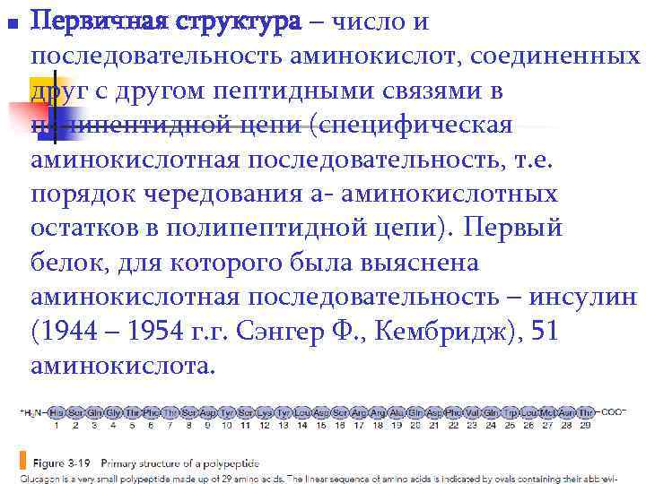 n Первичная структура – число и последовательность аминокислот, соединенных друг с другом пептидными связями