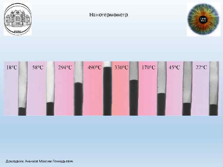Нанотермометр Докладчик: Аньчков Максим Геннадьевич 