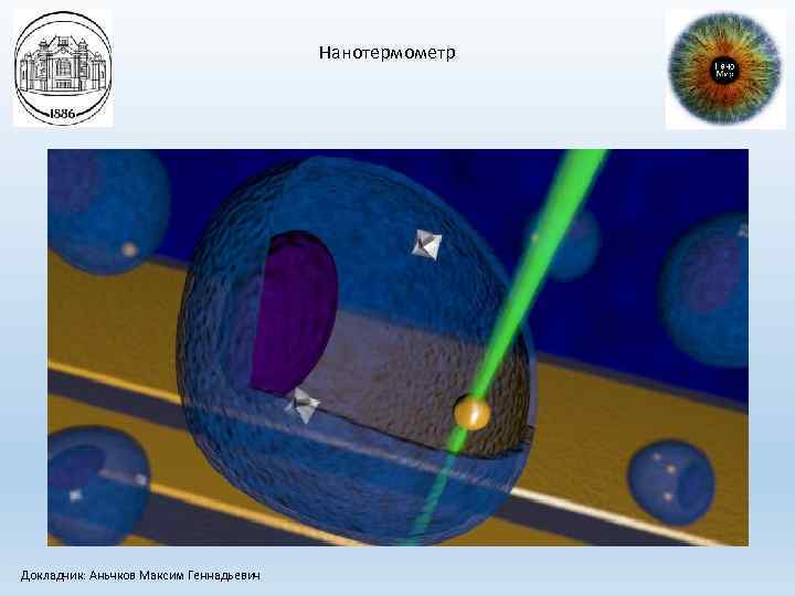 Нанотермометр Докладчик: Аньчков Максим Геннадьевич 