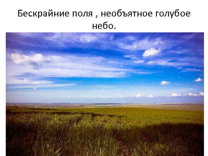 Бескрайней равнине или бескрайной как правильно. Бескрайние поля стихи. Люблю поля бескрайние. Безкрайние или бескрайние. Среди необозримых полей лесов перелесков.