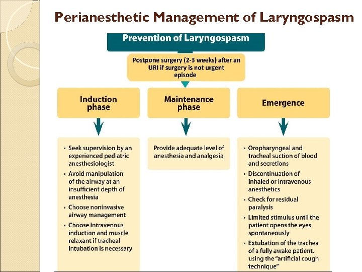 Perianesthetic Management of Laryngospasm 