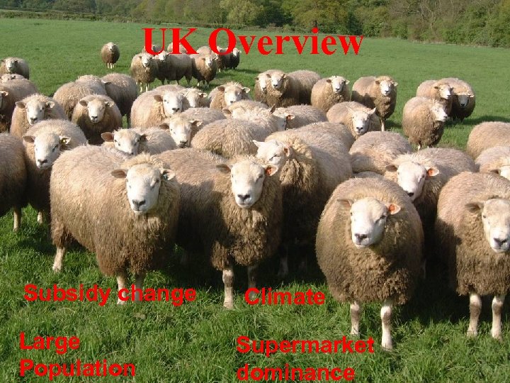 UK Overview Subsidy change Large Population Climate Supermarket dominance 