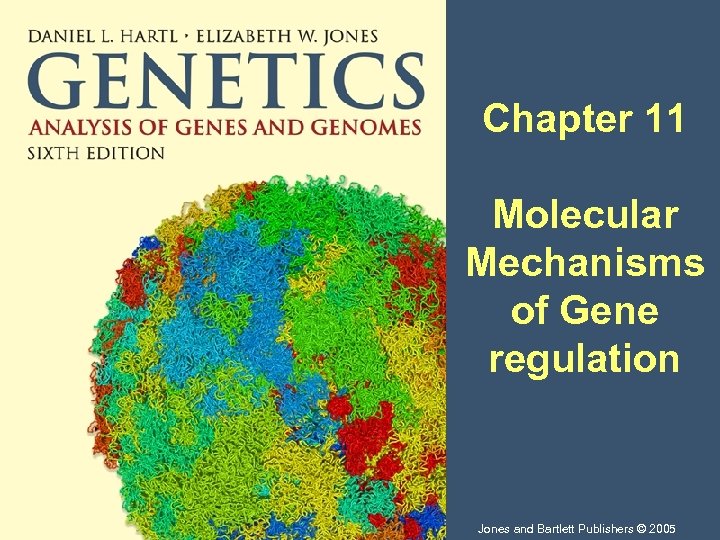 Chapter 11 Molecular Mechanisms of Gene regulation Jones and Bartlett Publishers © 2005 