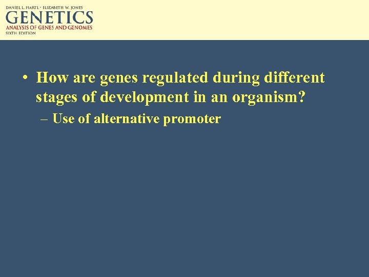  • How are genes regulated during different stages of development in an organism?