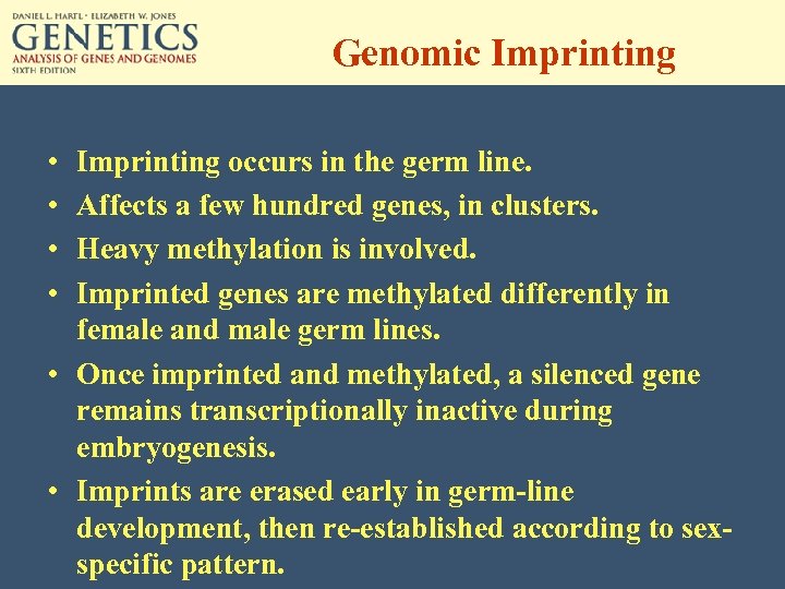 Genomic Imprinting • • Imprinting occurs in the germ line. Affects a few hundred