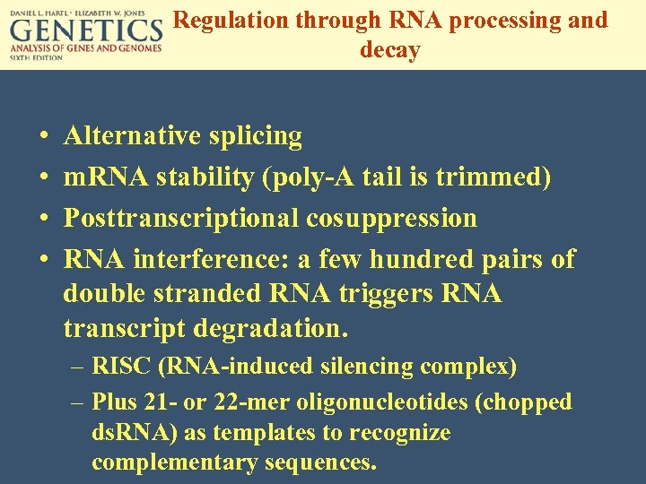 Regulation through RNA processing and decay • • Alternative splicing m. RNA stability (poly-A