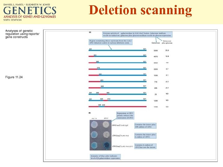 Deletion scanning 