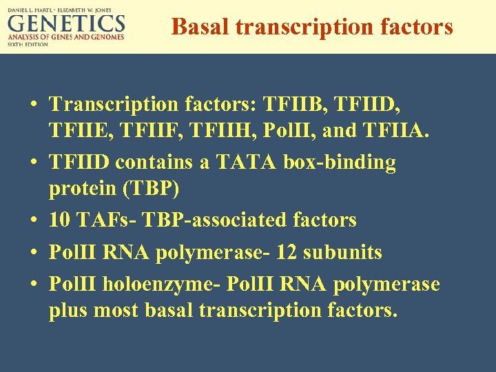 Basal transcription factors • Transcription factors: TFIIB, TFIID, TFIIE, TFIIF, TFIIH, Pol. II, and