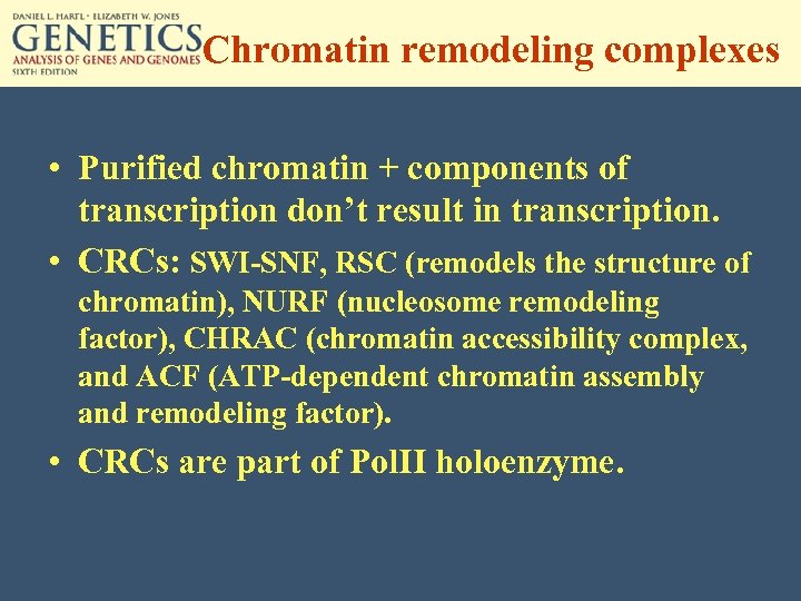 Chromatin remodeling complexes • Purified chromatin + components of transcription don’t result in transcription.