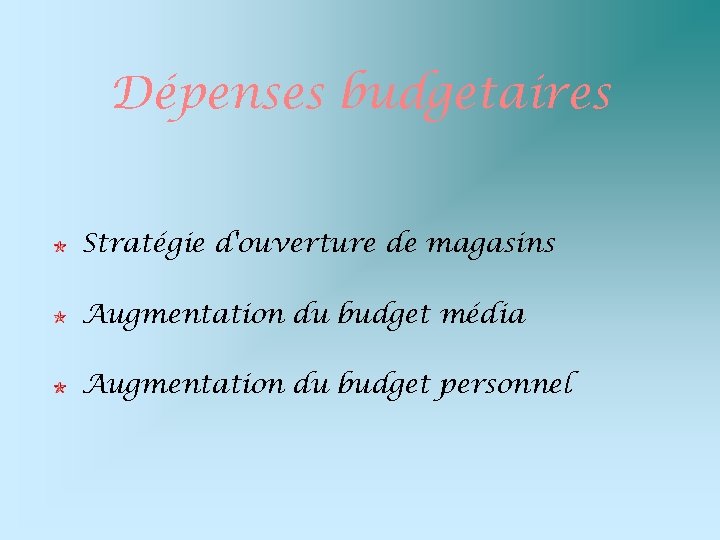 Dépenses budgetaires Stratégie d'ouverture de magasins Augmentation du budget média Augmentation du budget personnel