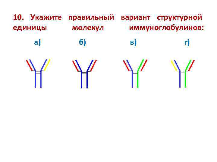 10. Укажите правильный вариант структурной единицы молекул иммуноглобулинов: а) б) в) г) 
