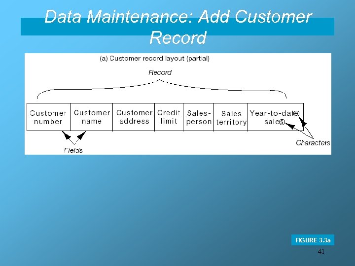 Data Maintenance: Add Customer Record FIGURE 3. 3 a 41 