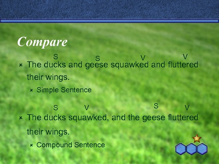 Compare S û V V The ducks and geese squawked and fluttered their wings.