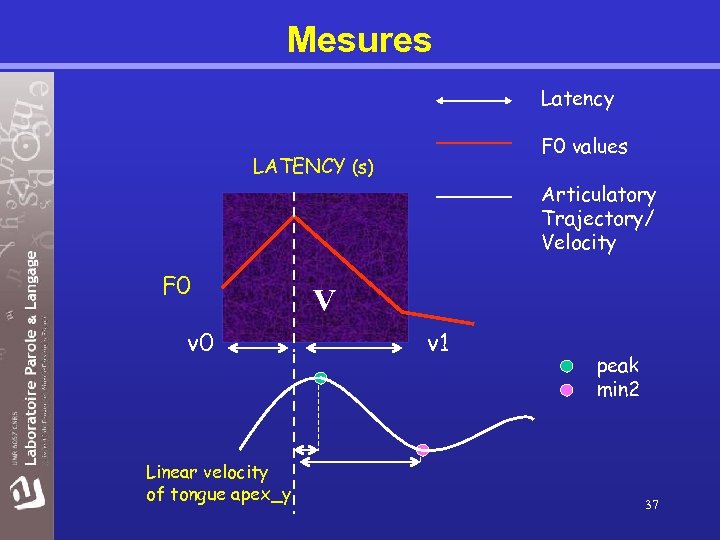 Mesures Latency F 0 values LATENCY (s) Articulatory Trajectory/ Velocity F 0 v 0