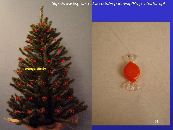 http: //www. ling. ohio-state. edu/~speer/Expt. Prag_shorter. ppt * * * 18 23 28 *