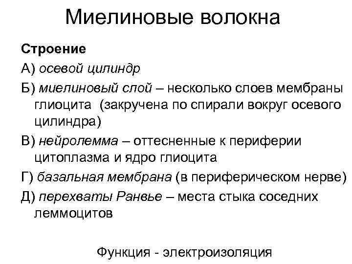 Миелиновые волокна Строение А) осевой цилиндр Б) миелиновый слой – несколько слоев мембраны глиоцита