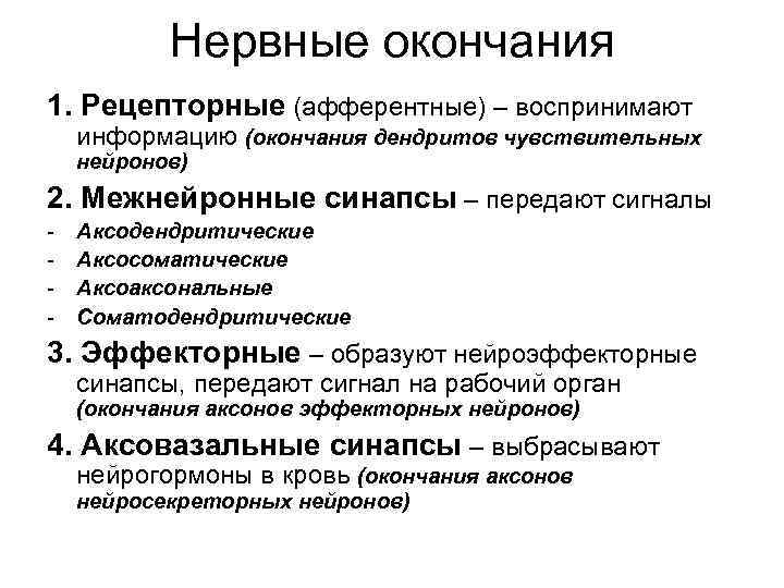 Нервные окончания 1. Рецепторные (афферентные) – воспринимают информацию (окончания дендритов чувствительных нейронов) 2. Межнейронные