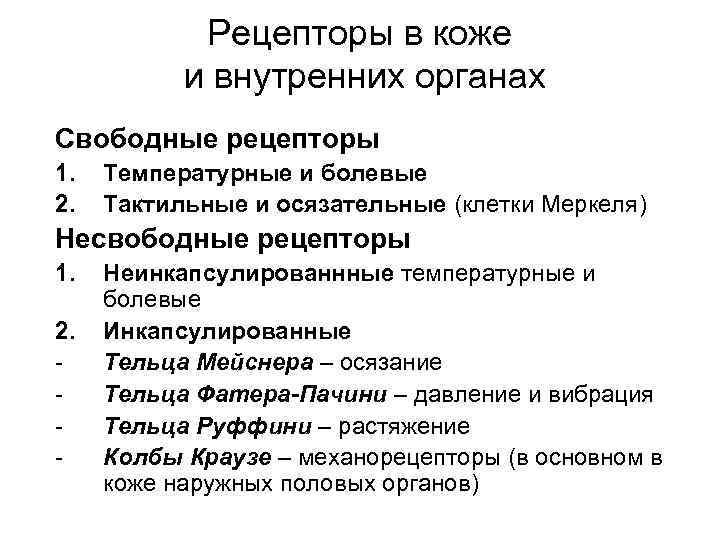 Рецепторы в коже и внутренних органах Свободные рецепторы 1. 2. Температурные и болевые Тактильные