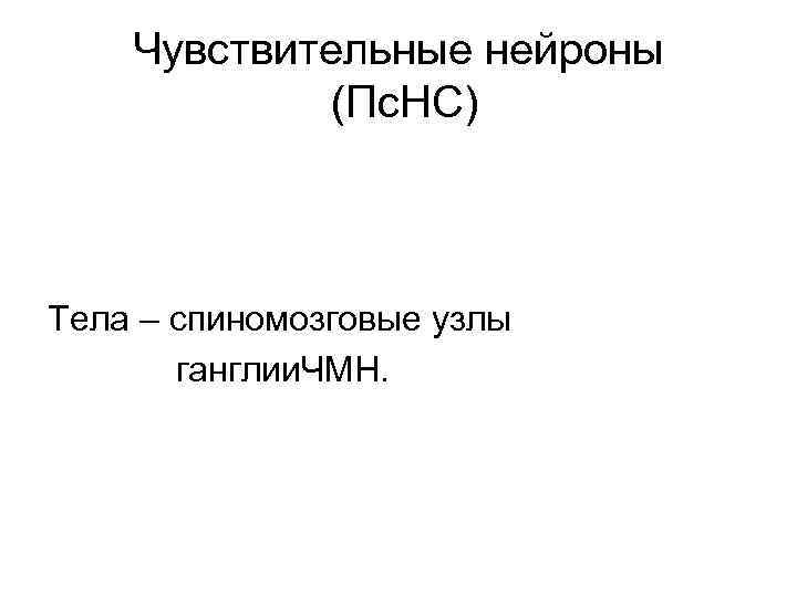 Чувствительные нейроны (Пс. НС) Тела – спиномозговые узлы ганглии. ЧМН. 