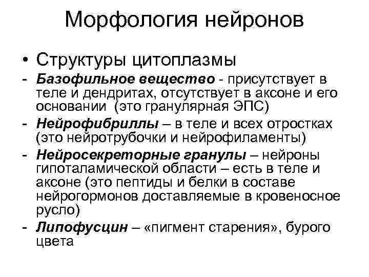 Морфология нейронов • Структуры цитоплазмы - Базофильное вещество - присутствует в теле и дендритах,