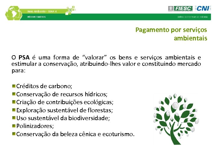 Pagamento por serviços ambientais O PSA é uma forma de “valorar” os bens e