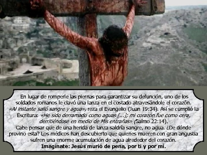  En lugar de romperle las piernas para garantizar su defunción, uno de los