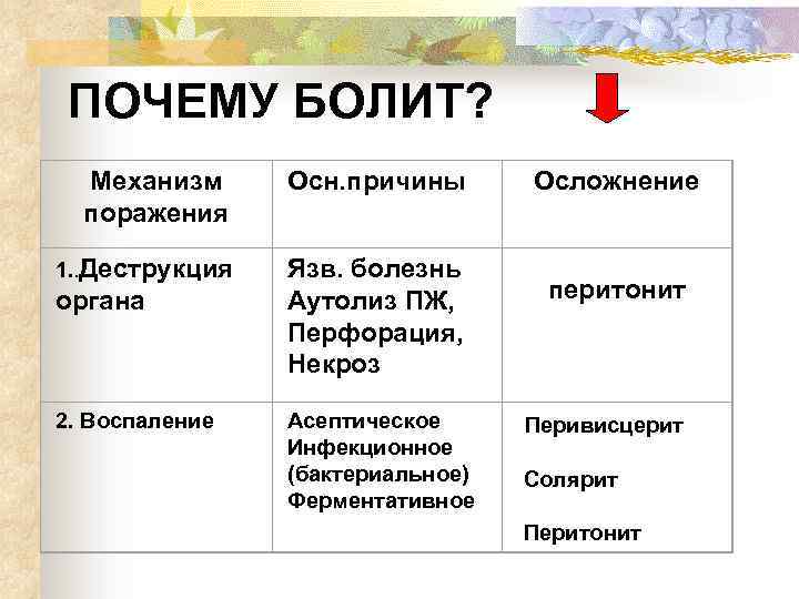 ПОЧЕМУ БОЛИТ? Механизм поражения 1. . Деструкция органа 2. Воспаление Осн. причины Осложнение Язв.