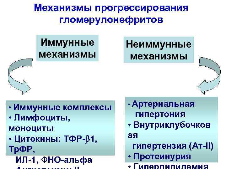 Механизмы прогрессирования гломерулонефритов Иммунные механизмы • Иммунные комплексы • Лимфоциты, моноциты • Цитокины: TФР-