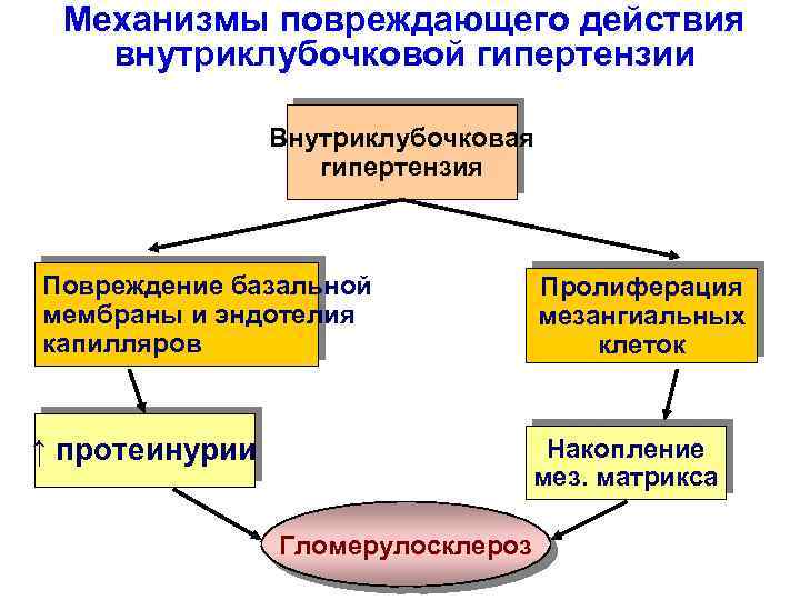 Механизмы антитромбогенных свойств эндотелия презентация