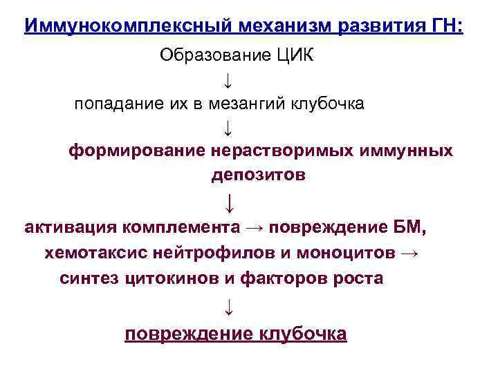 Иммунокомплексный механизм развития ГН: Образование ЦИК ↓ попадание их в мезангий клубочка ↓ формирование