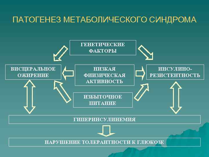 ПАТОГЕНЕЗ МЕТАБОЛИЧЕСКОГО СИНДРОМА ГЕНЕТИЧЕСКИЕ ФАКТОРЫ ВИСЦЕРАЛЬНОЕ ОЖИРЕНИЕ НИЗКАЯ ФИИЗИЧЕСКАЯ АКТИВНОСТЬ ИНСУЛИНОРЕЗИСТЕНТНОСТЬ ИЗБЫТОЧНОЕ ПИТАНИЕ ГИПЕРИНСУЛИНЕМИЯ