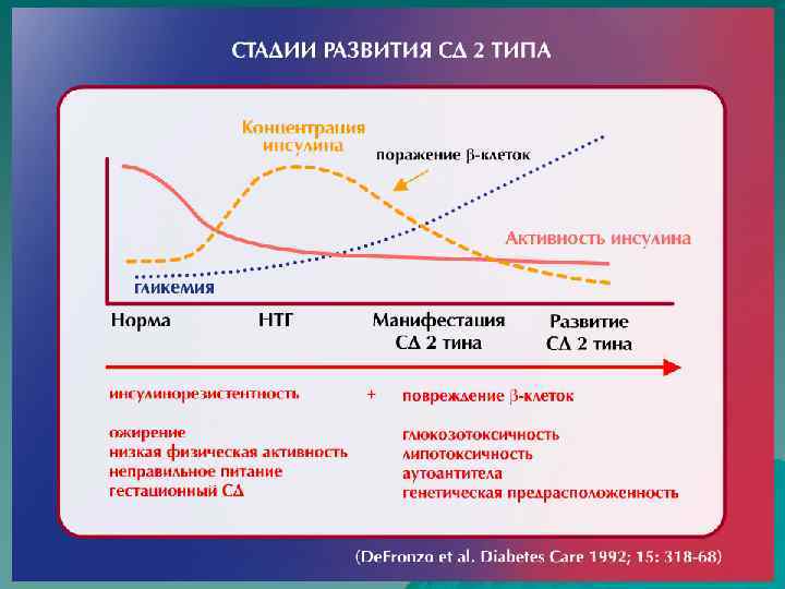 Сд 2 типа презентация