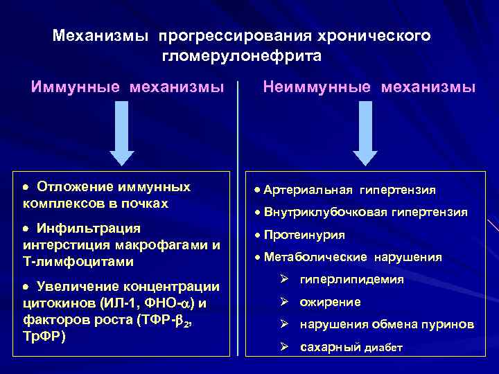 Механизмы прогрессирования хронического гломерулонефрита Иммунные механизмы Отложение иммунных комплексов в почках Инфильтрация интерстиция макрофагами