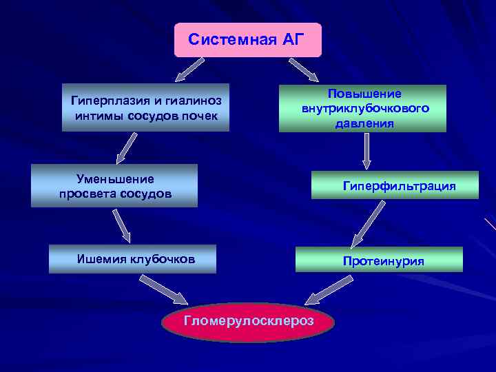 Системная АГ Гиперплазия и гиалиноз интимы сосудов почек Повышение внутриклубочкового давления Уменьшение просвета сосудов