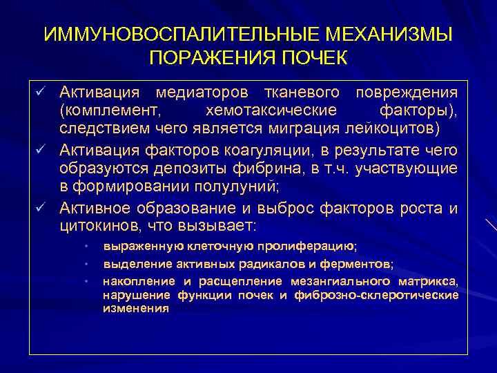 ИММУНОВОСПАЛИТЕЛЬНЫЕ МЕХАНИЗМЫ ПОРАЖЕНИЯ ПОЧЕК ü Активация медиаторов тканевого повреждения (комплемент, хемотаксические факторы), следствием чего