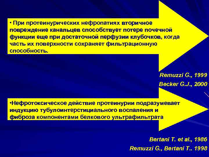  • При протеинурических нефропатиях вторичное повреждение канальцев способствует потере почечной функции еще при