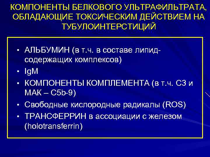 КОМПОНЕНТЫ БЕЛКОВОГО УЛЬТРАФИЛЬТРАТА, ОБЛАДАЮЩИЕ ТОКСИЧЕСКИМ ДЕЙСТВИЕМ НА ТУБУЛОИНТЕРСТИЦИЙ • АЛЬБУМИН (в т. ч. в